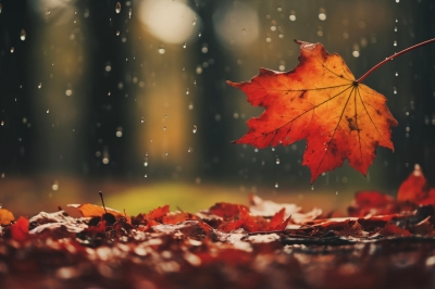 Синоптик Тишковец назвал сроки наступления похолодания — на две недели раньше