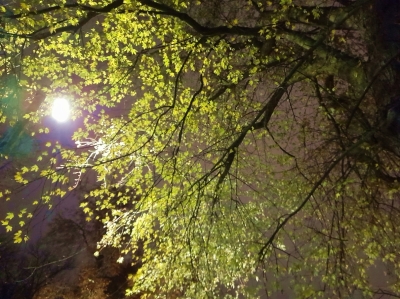 Почему до сих пор &quot;не победили тьму&quot; на Земле. План Люцифера